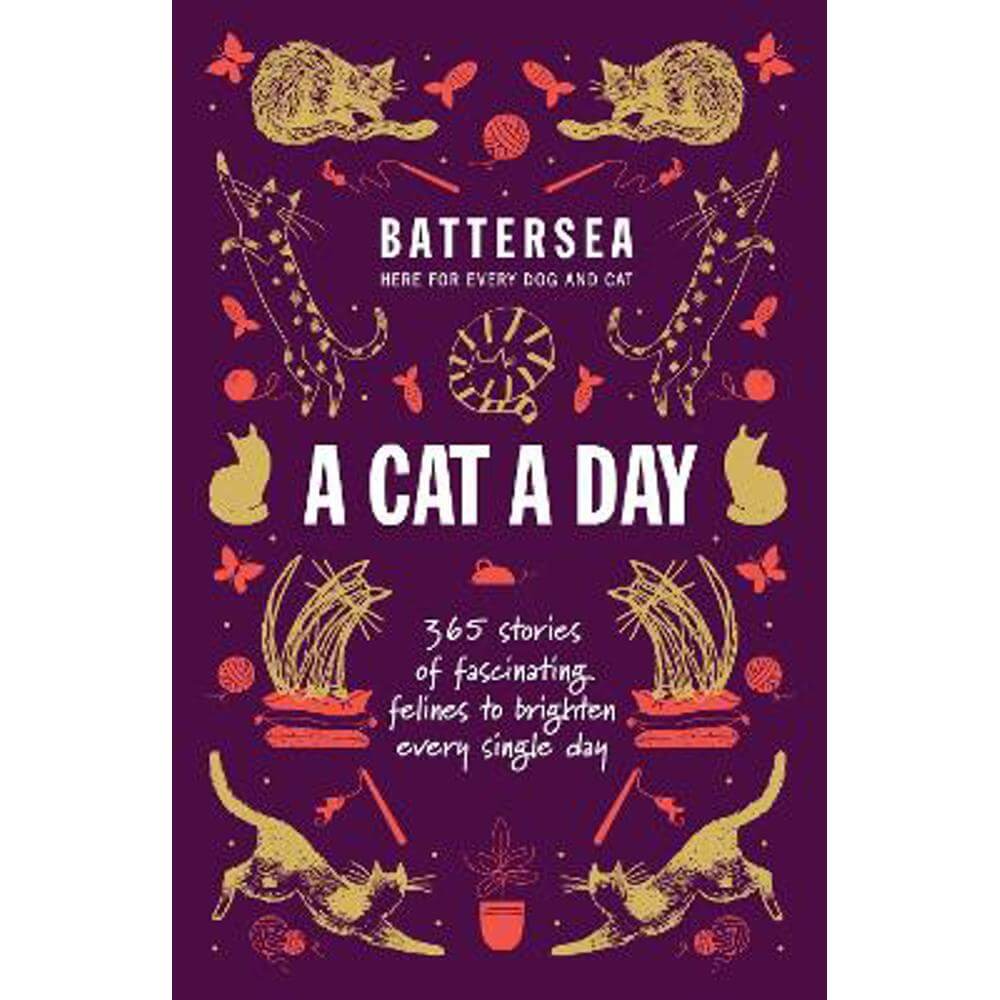 Battersea Dogs and Cats Home - A Cat a Day: 365 stories of fascinating felines to brighten every day (Paperback)